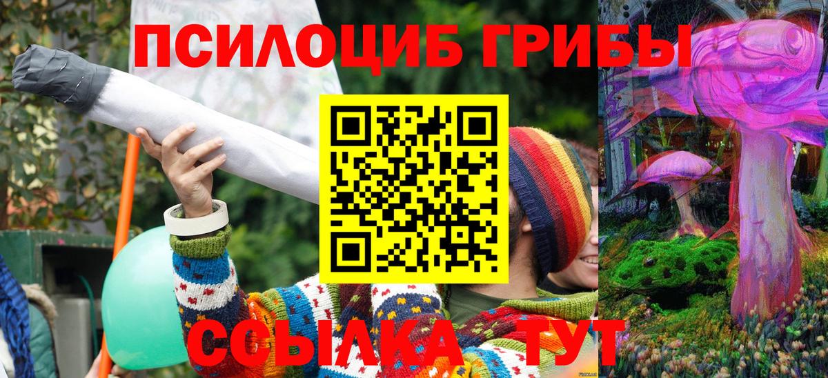 Галлюциногенные грибы мицелий Чапаевск