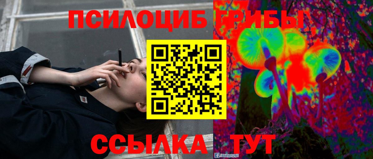 хочу наркоту  Псилоцибиновые грибы MAGIC MUSHROOMS  Вход с VPN  Чапаевск  Псилоцибиновые грибы GOLDEN TEACHER 
